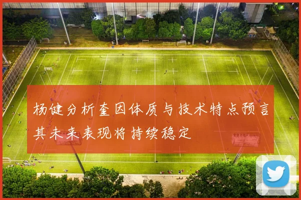 杨健分析奎因体质与技术特点预言其未来表现将持续稳定