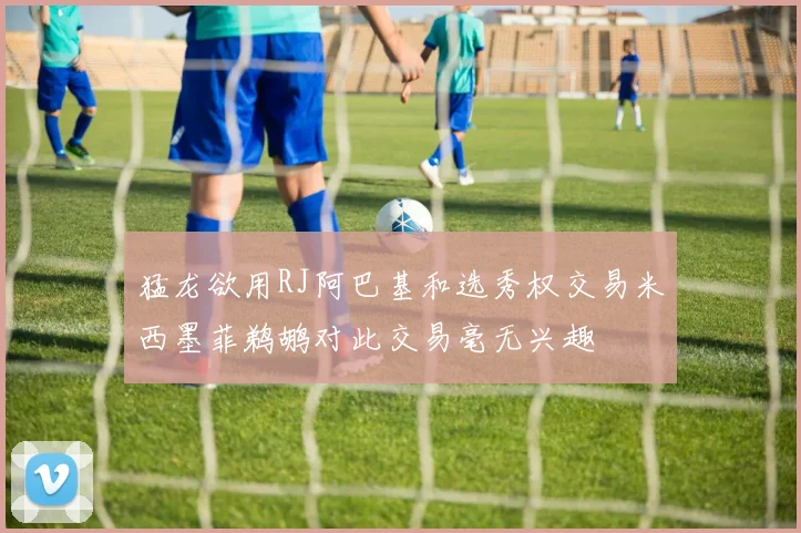 猛龙欲用RJ阿巴基和选秀权交易米西墨菲鹈鹕对此交易毫无兴趣