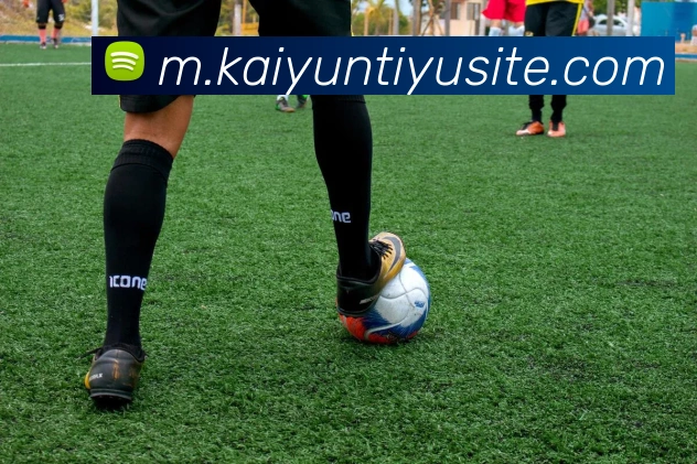 开云体育平台生态图